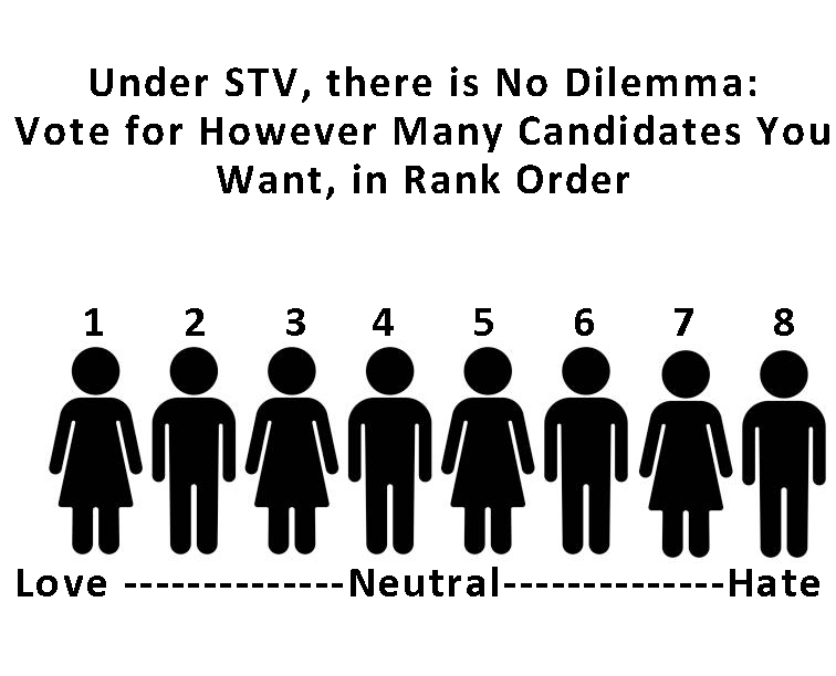 STV Vote System